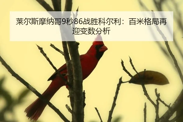 lai-er-si-mo-na-ge-miao-zhan-sheng-ke-er-li-bai-mi-ge-ju-zai-ying-bian-shu-fen-xi-3-148.jpg